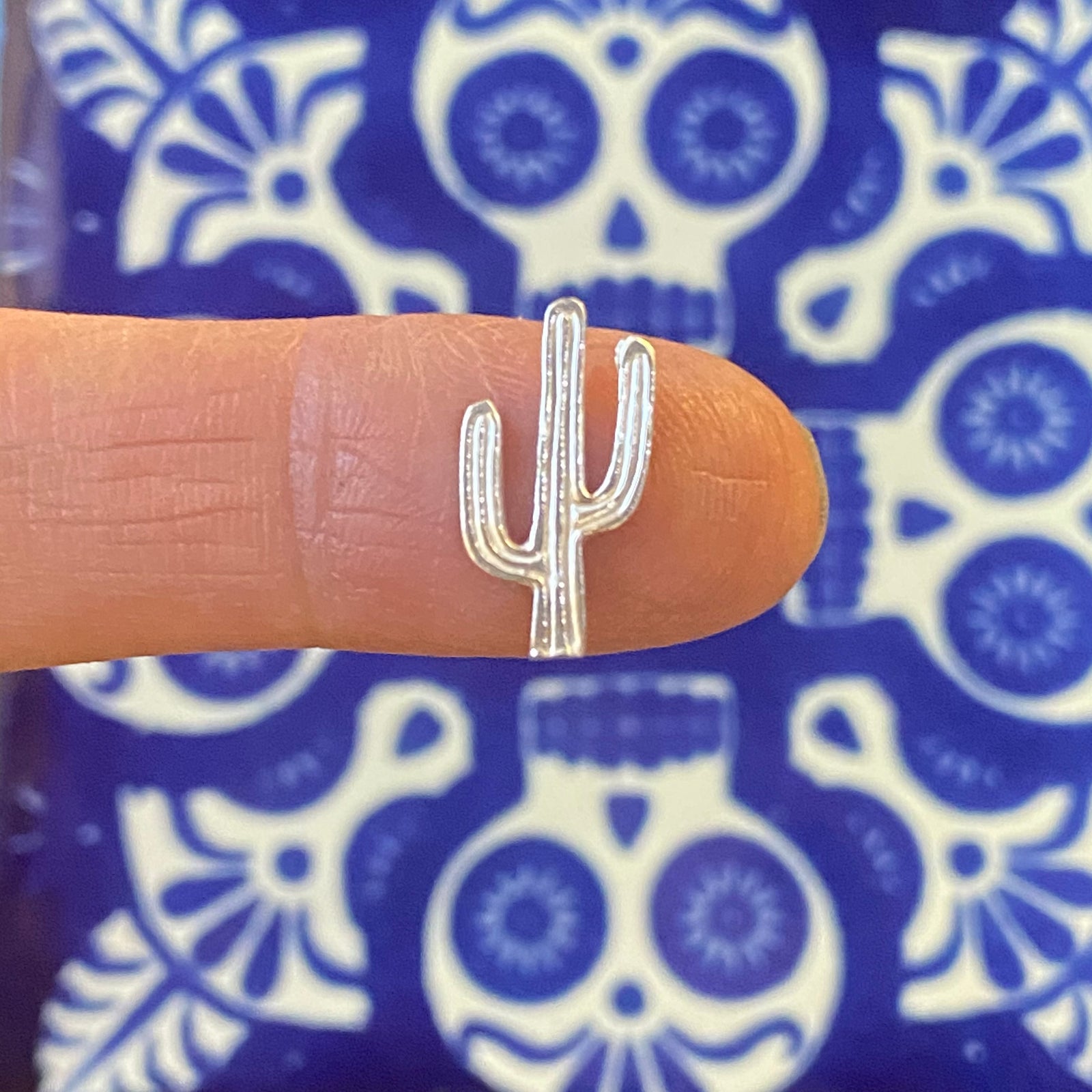 Textured Saguaro