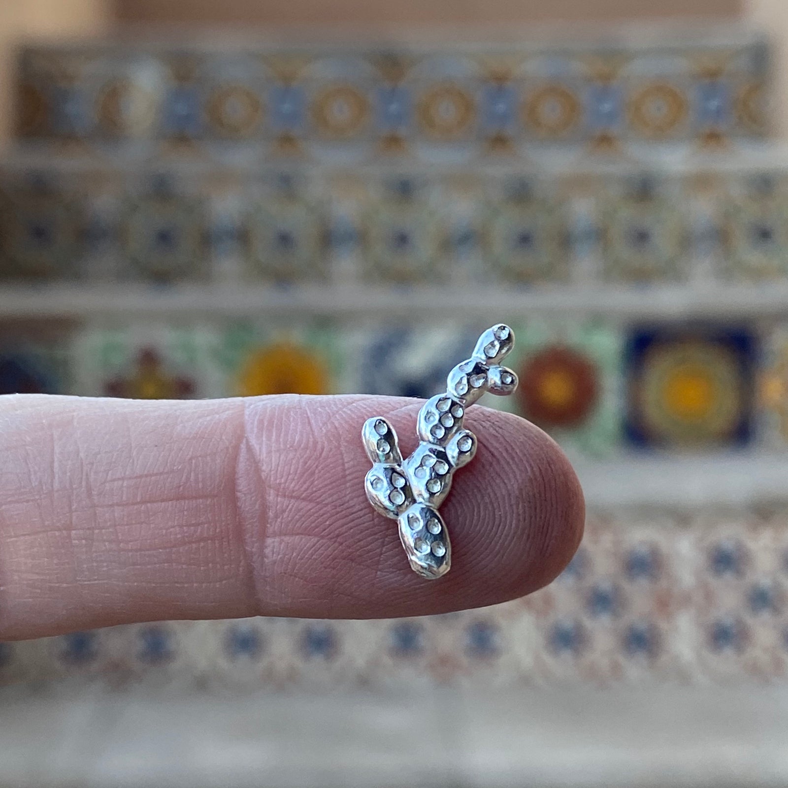 silver prickly pear casting