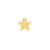 14K Yellow Gold Tiny Star