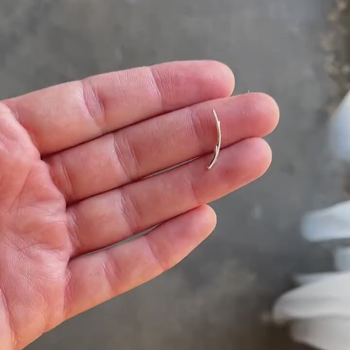 Curved Twig