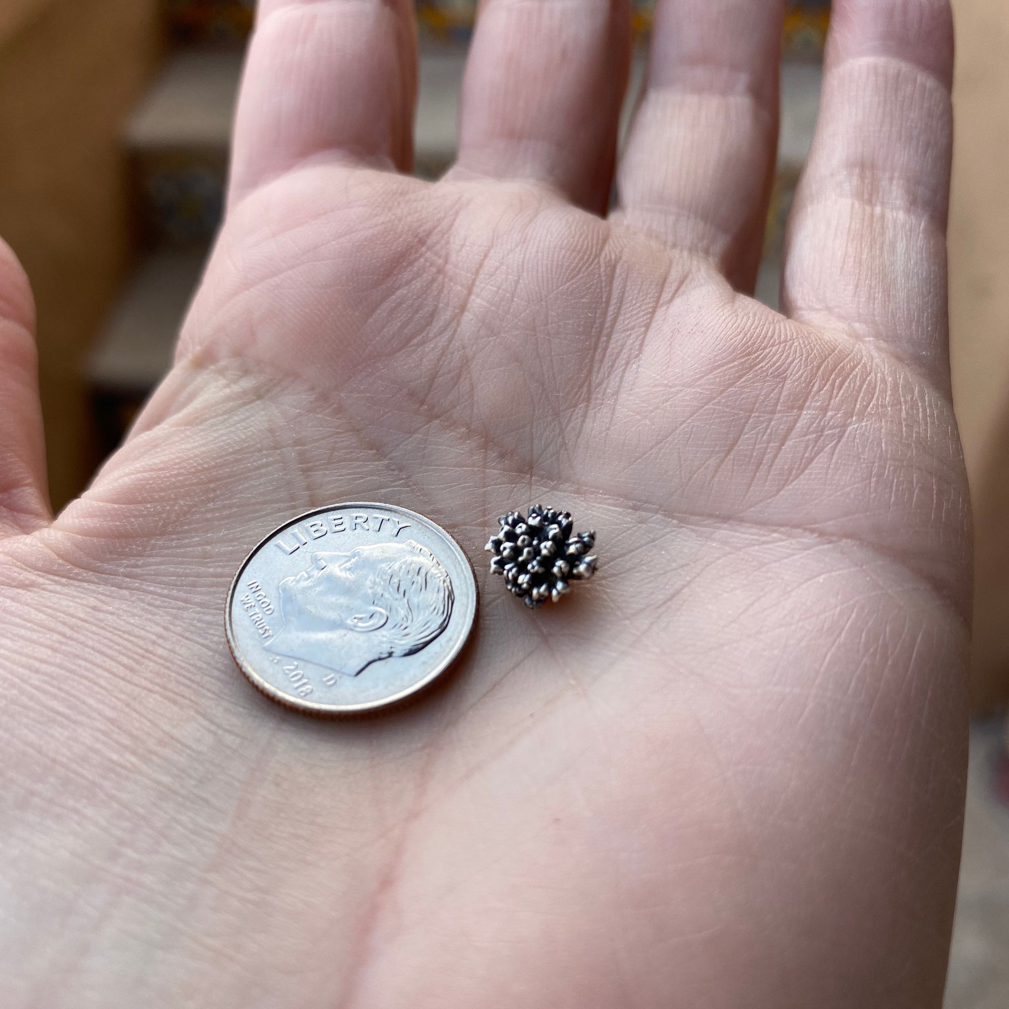 organic cast  pom pom flower with dime for size reference 